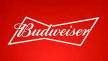 Anheuser Busch - Budweiser 12pk 16oz Aluminum Bottles