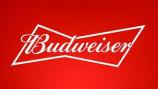 Anheuser Busch - Budweiser 16oz Can 0