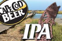Cape Cod Ipa 16oz Cans