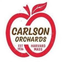 Carslon - Carlson Shapleys Traditional Cider 16oz Cans (16oz can)